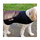 Cool Coats ideal for all breeds
